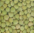 Eston Lentils
