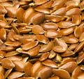 Flax