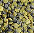 French Lentils