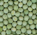 Green Peas
