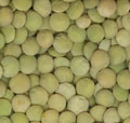 Laird Lentils