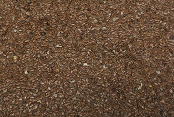 AC TRADING PRODUCTS_0000s_0002_flax new