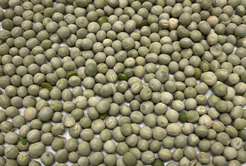 AC TRADING PRODUCTS_0000s_0008_green peas new