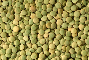 ACT _0003_ESTON LENTILS
